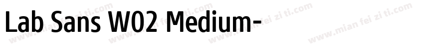 Lab Sans W02 Medium字体转换
